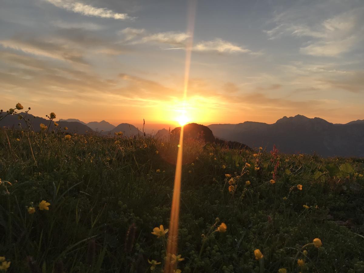 Naturhotel Schuetterbad 温肯 外观 照片